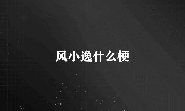 风小逸什么梗