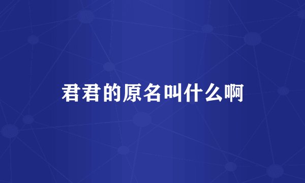 君君的原名叫什么啊