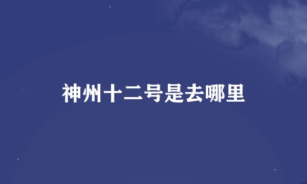 神州十二号是去哪里