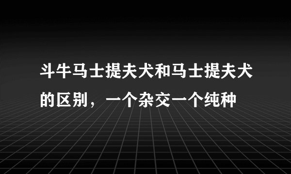 斗牛马士提夫犬和马士提夫犬的区别，一个杂交一个纯种