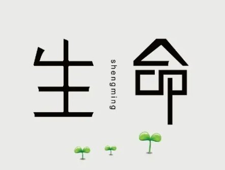 黔南多人站在悬崖边巨石上用力摇晃，如何看待这种“打卡不顾生命”的行为？