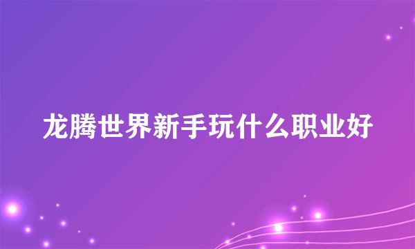 龙腾世界新手玩什么职业好