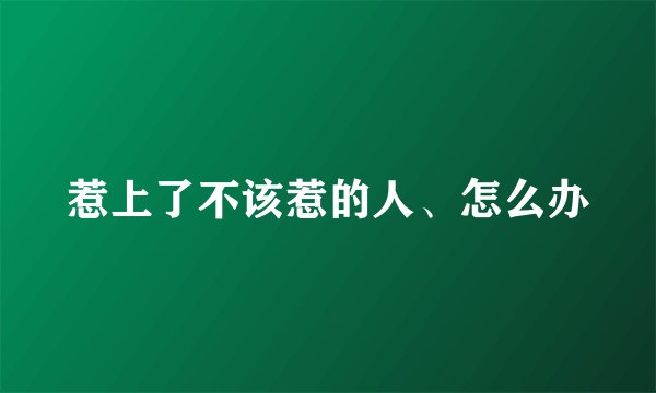 惹上了不该惹的人、怎么办