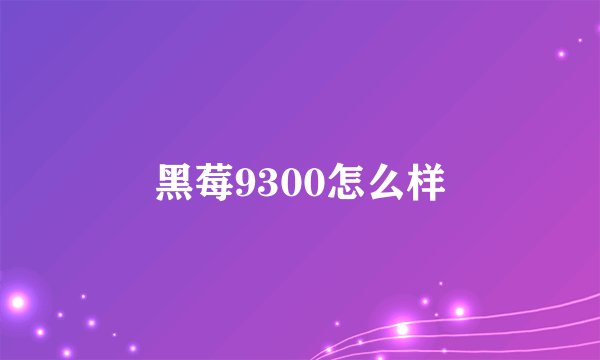 黑莓9300怎么样
