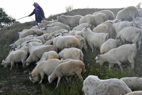 黑龙江14岁少年放羊未归，3天后父母得知落水，谁来为此事负责？