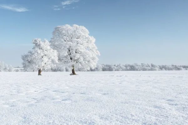 小雪时节的诗句天下撒来云母粉