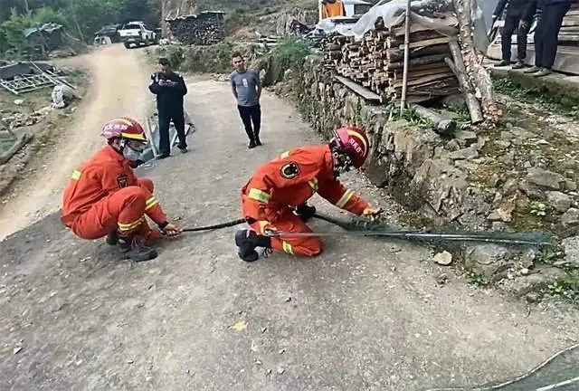 重庆一位女子江边散步被蛇咬伤肿胀如馒头,遇到这种情况该怎么办?