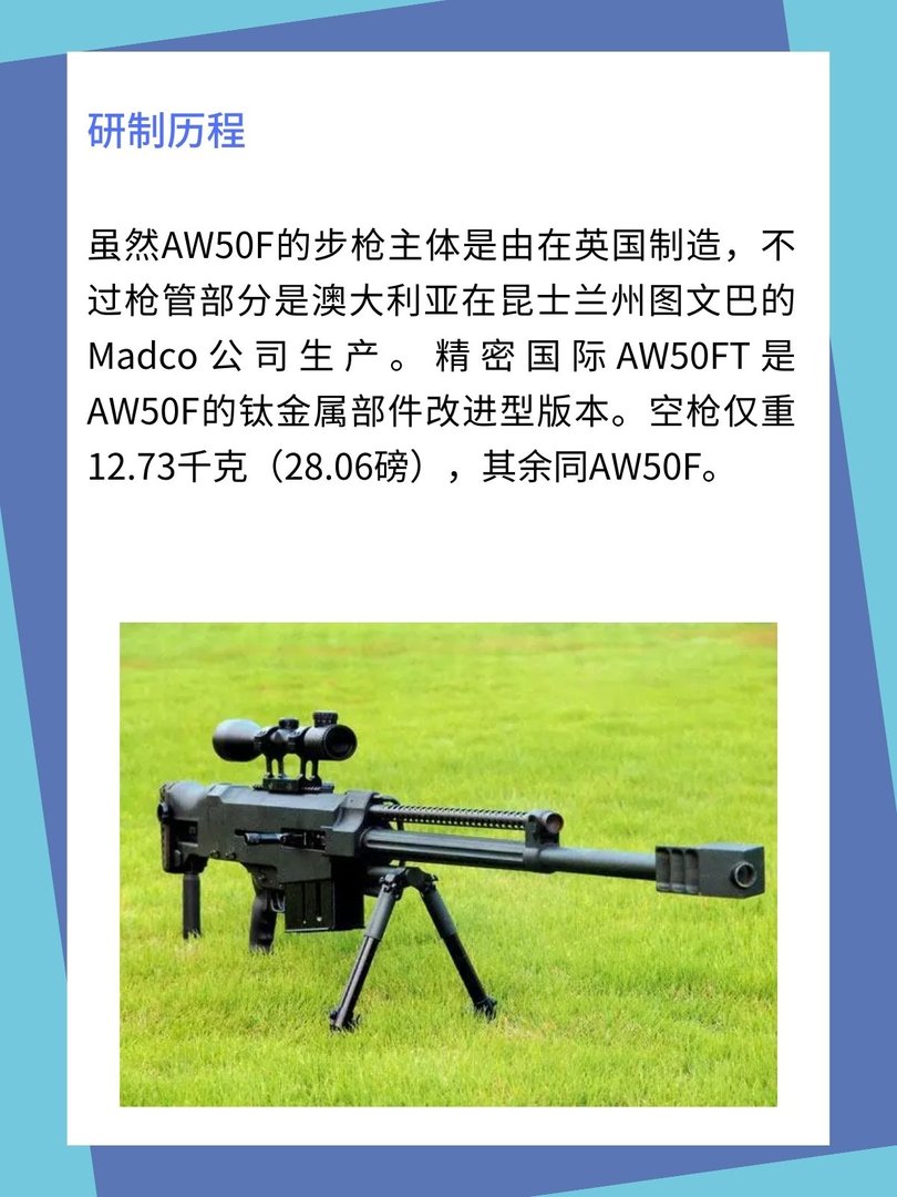 精确国际AW50F步枪