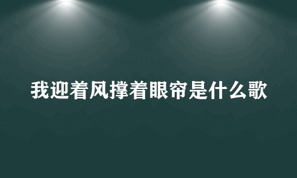 我迎着风撑着眼帘是什么歌