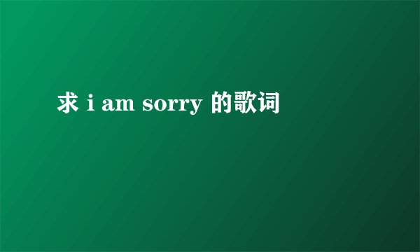 求 i am sorry 的歌词