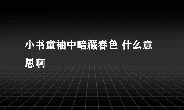 小书童袖中暗藏春色 什么意思啊