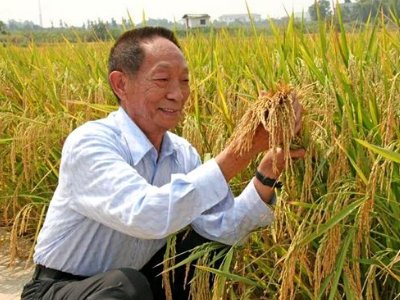 袁隆平是哪里人