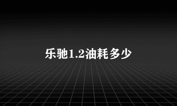 乐驰1.2油耗多少