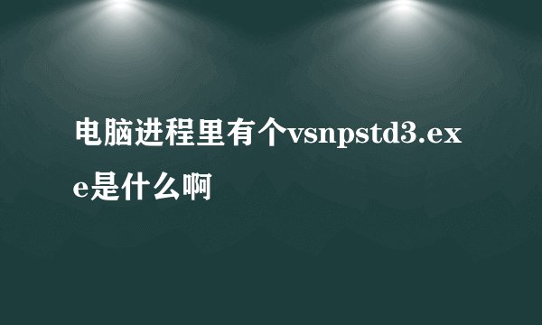 电脑进程里有个vsnpstd3.exe是什么啊