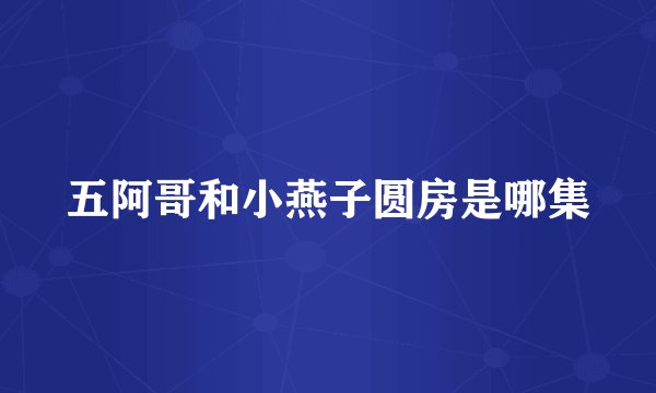 五阿哥和小燕子圆房是哪集