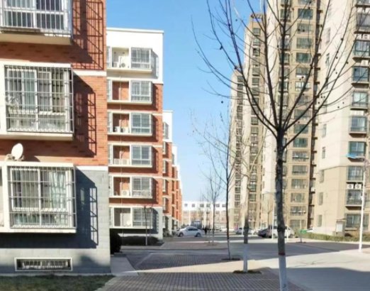 河南新乡：楼长小区里抡椅子殴打女业主，双方到底因何发生冲突？