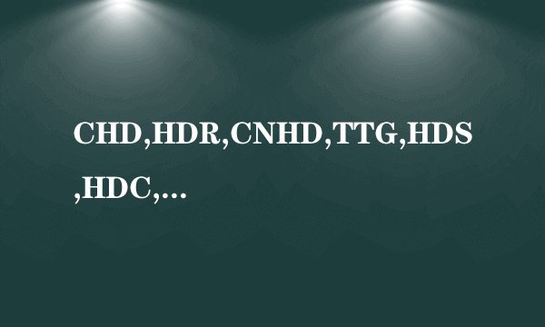 CHD,HDR,CNHD,TTG,HDS,HDC,CMCT,HDW这几个PT站哪个容易进啊？？？？？？