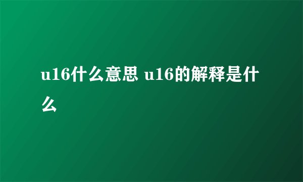 u16什么意思 u16的解释是什么