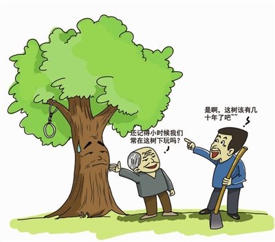 香樟树的影子的介绍