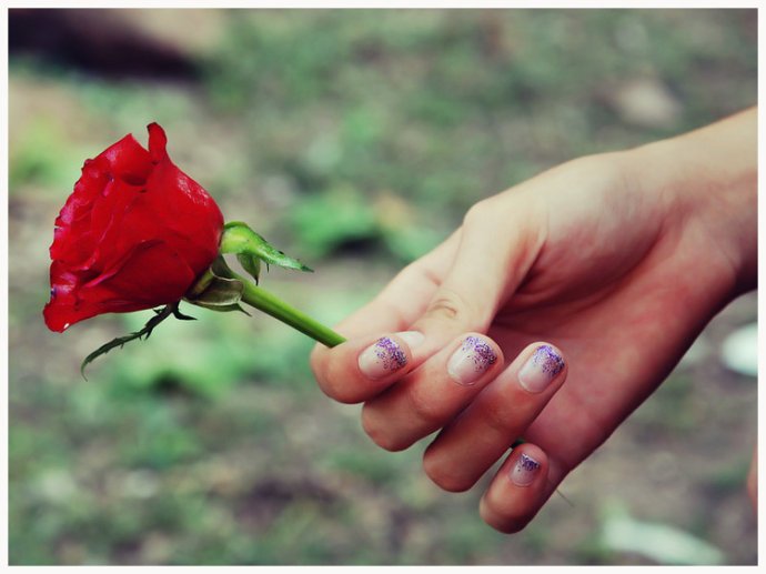 送人玫瑰,手有余香什么意思?