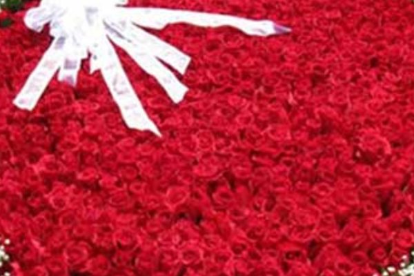 520玫瑰花代表什么