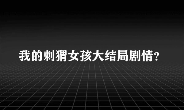 我的刺猬女孩大结局剧情？