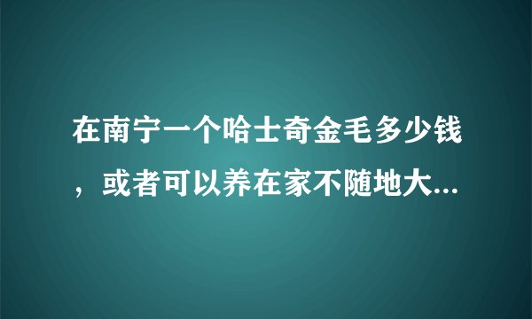在南宁一个哈士奇金毛多少钱，或者可以养在家不随地大小便得狗狗？