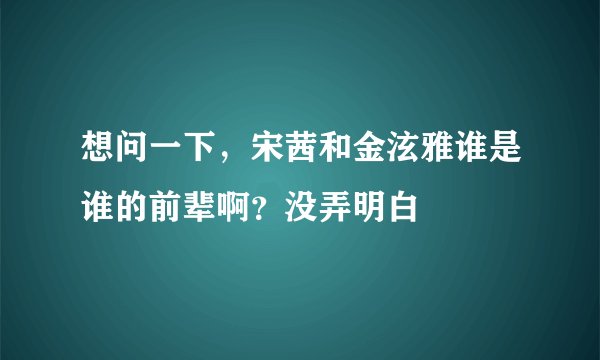 想问一下，宋茜和金泫雅谁是谁的前辈啊？没弄明白