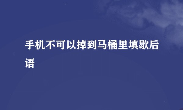 手机不可以掉到马桶里填歇后语