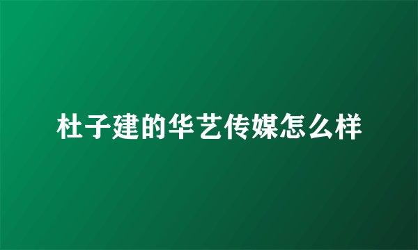 杜子建的华艺传媒怎么样