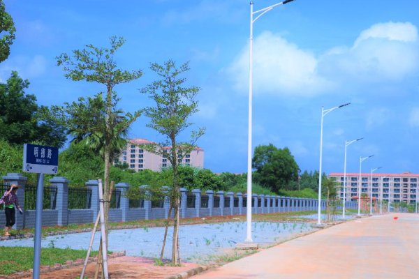 湛江有什么大专