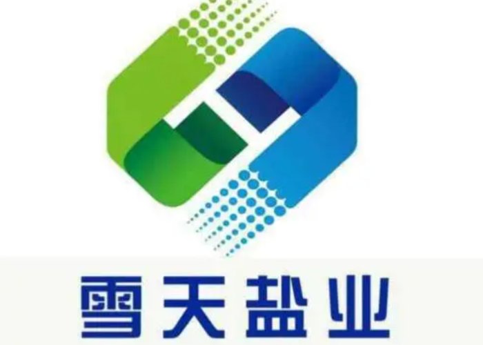 制盐的上市公司有哪些