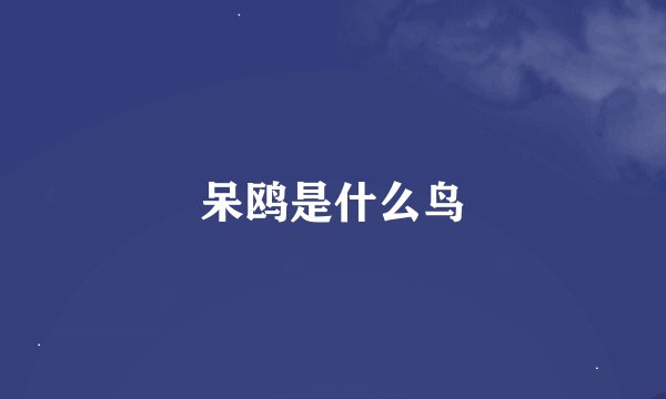 呆鸥是什么鸟