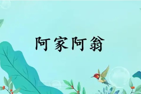 阿家什么意思