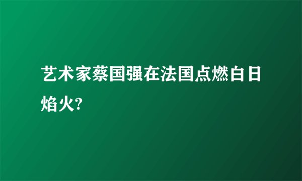 艺术家蔡国强在法国点燃白日焰火?