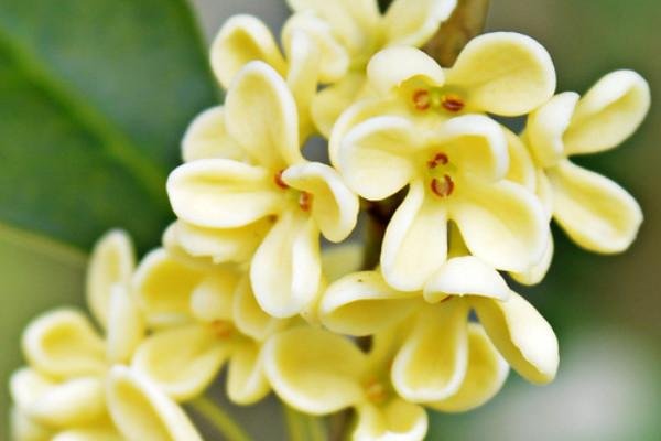 东南大学考研多少分能上