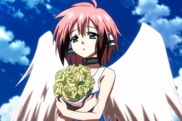 十部顶级后宫漫画推荐