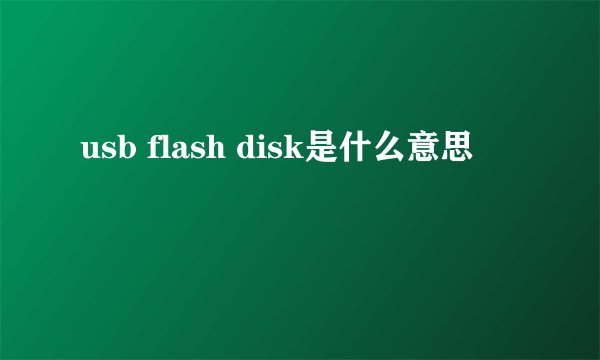usb flash disk是什么意思