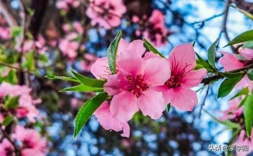 形容风景优美的成语有哪些?