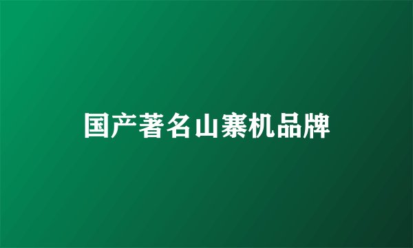 国产著名山寨机品牌