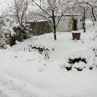 河南大雪连下7天,长时间降雪有哪些好处和坏处?