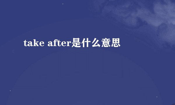 take after是什么意思
