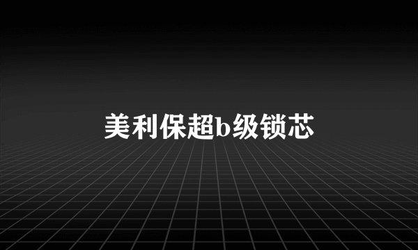 美利保超b级锁芯