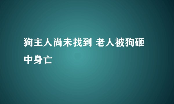 狗主人尚未找到 老人被狗砸中身亡