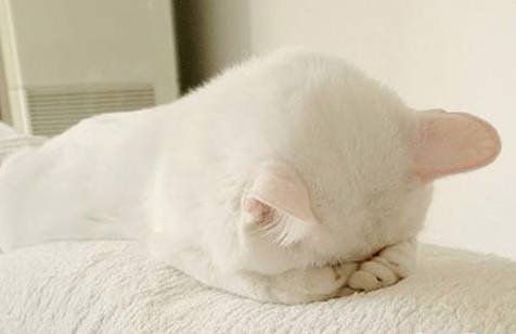 上课趴着睡能有多费手视频火了，趴睡会对身体带来哪些危害？