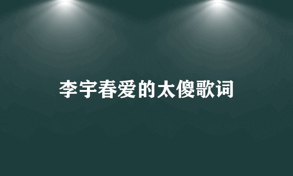李宇春爱的太傻歌词