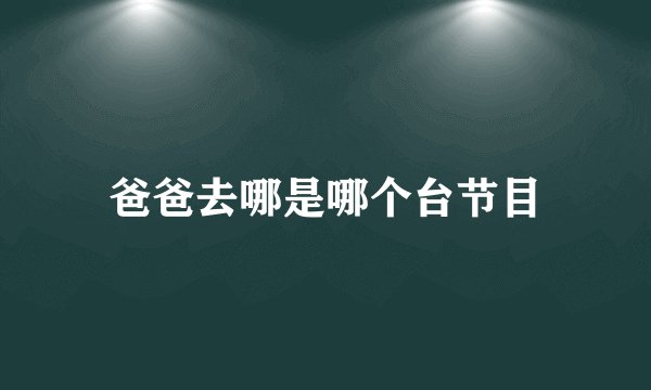 爸爸去哪是哪个台节目