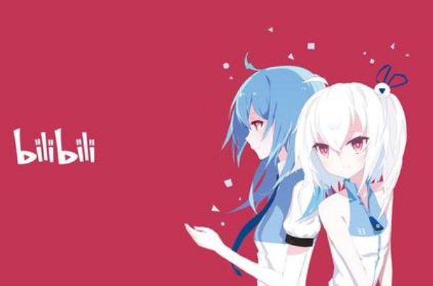 动漫网站中的A站 B站 C（T）站 D站 M站 P站 K站分别是神马？ 还有神马站点（请详解）？