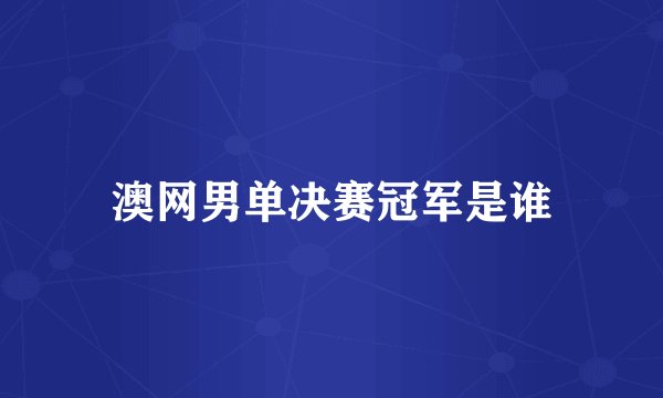 澳网男单决赛冠军是谁
