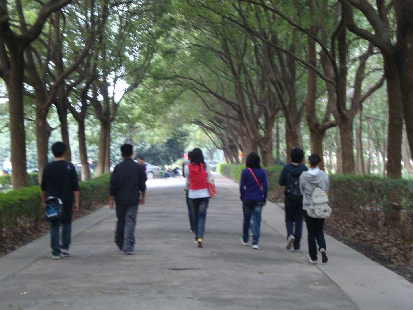 宁波大学家教服务中心的简介